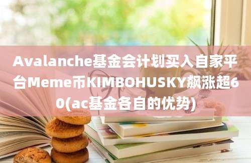 Avalanche基金会计划买入自家平台Meme币KIMBOHUSKY飙涨超60(ac基金各自的优势)