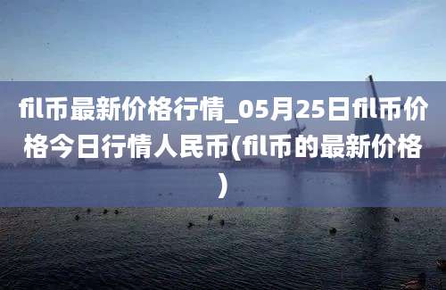 fil币最新价格行情_05月25日fil币价格今日行情人民币(fil币的最新价格)