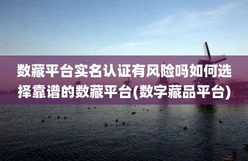 数藏平台实名认证有风险吗如何选择靠谱的数藏平台(数字藏品平台)