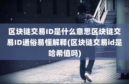 区块链交易ID是什么意思区块链交易ID通俗易懂解释(区块链交易id是哈希值吗)