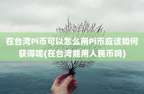 在台湾Pi币可以怎么用Pi币应该如何获得呢(在台湾能用人民币吗)