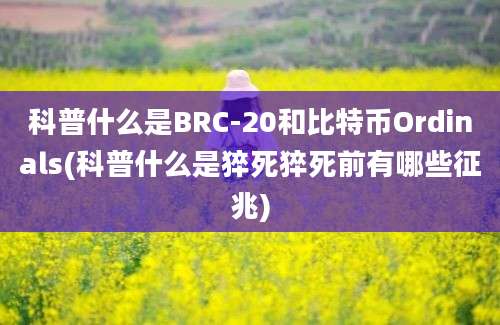 科普什么是BRC-20和比特币Ordinals(科普什么是猝死猝死前有哪些征兆)