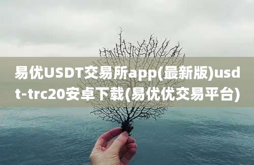 易优USDT交易所app(最新版)usdt-trc20安卓下载(易优优交易平台)