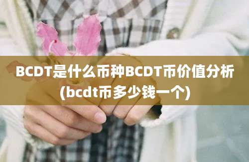 BCDT是什么币种BCDT币价值分析(bcdt币多少钱一个)