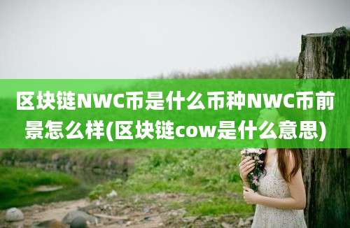 区块链NWC币是什么币种NWC币前景怎么样(区块链cow是什么意思)