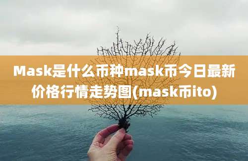 Mask是什么币种mask币今日最新价格行情走势图(mask币ito)