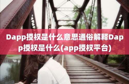 Dapp授权是什么意思通俗解释Dapp授权是什么(app授权平台)