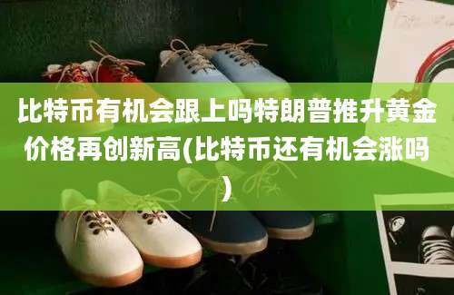 比特币有机会跟上吗特朗普推升黄金价格再创新高(比特币还有机会涨吗)