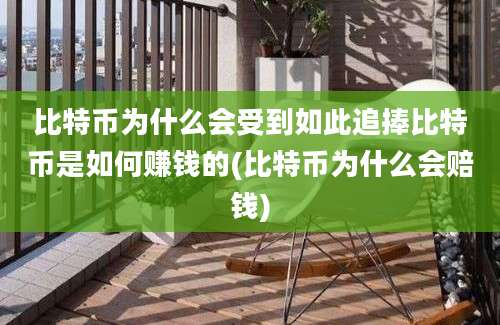 比特币为什么会受到如此追捧比特币是如何赚钱的(比特币为什么会赔钱)