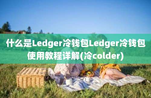 什么是Ledger冷钱包Ledger冷钱包使用教程详解(冷colder)