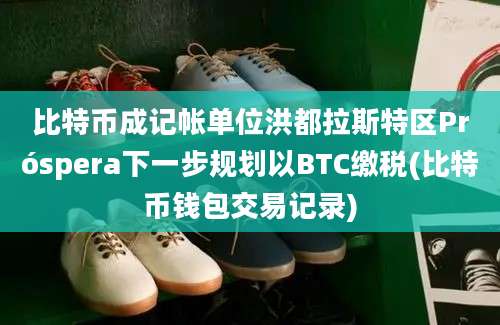 比特币成记帐单位洪都拉斯特区Próspera下一步规划以BTC缴税(比特币钱包交易记录)