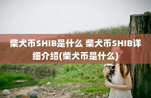 柴犬币SHIB是什么 柴犬币SHIB详细介绍(柴犬币是什么)