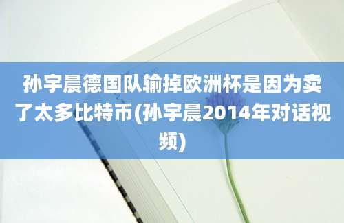 孙宇晨德国队输掉欧洲杯是因为卖了太多比特币(孙宇晨2014年对话视频)