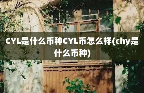 CYL是什么币种CYL币怎么样(chy是什么币种)