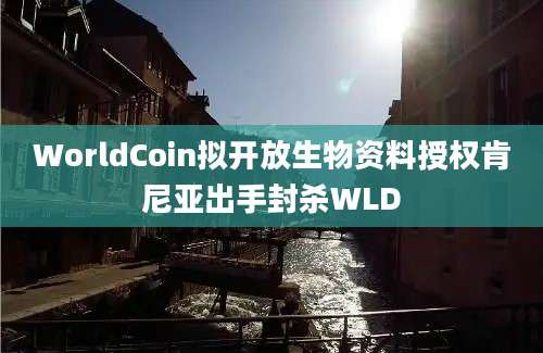 WorldCoin拟开放生物资料授权肯尼亚出手封杀WLD