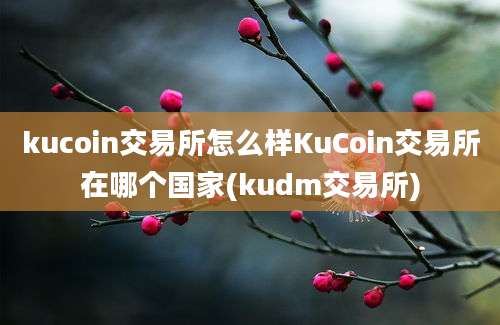 kucoin交易所怎么样KuCoin交易所在哪个国家(kudm交易所)