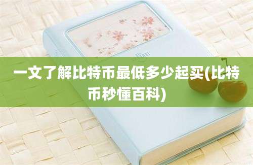 一文了解比特币最低多少起买(比特币秒懂百科)