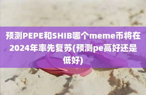 预测PEPE和SHIB哪个meme币将在2024年率先复苏(预测pe高好还是低好)