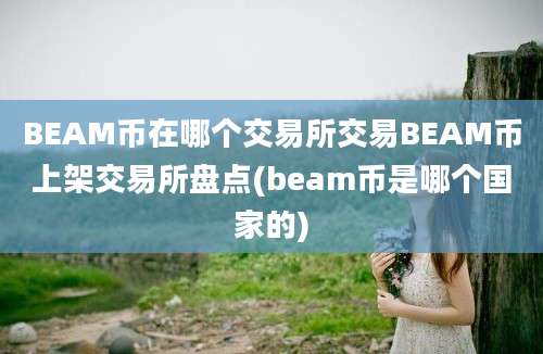 BEAM币在哪个交易所交易BEAM币上架交易所盘点(beam币是哪个国家的)