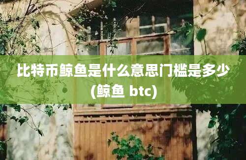 比特币鲸鱼是什么意思门槛是多少(鲸鱼 btc)