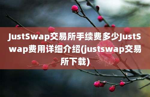 JustSwap交易所手续费多少JustSwap费用详细介绍(justswap交易所下载)