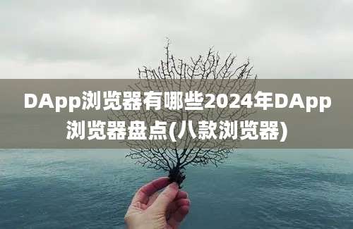 DApp浏览器有哪些2024年DApp浏览器盘点(八款浏览器)