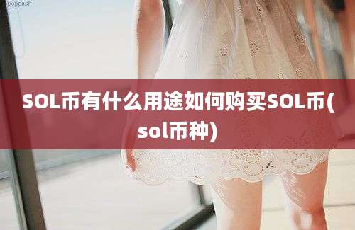 SOL币有什么用途如何购买SOL币(sol币种)