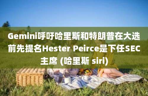 Gemini呼吁哈里斯和特朗普在大选前先提名Hester Peirce是下任SEC主席 (哈里斯 siri)