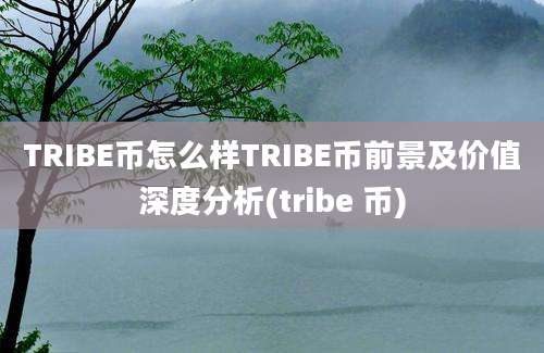 TRIBE币怎么样TRIBE币前景及价值深度分析(tribe 币)