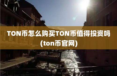 TON币怎么购买TON币值得投资吗(ton币官网)