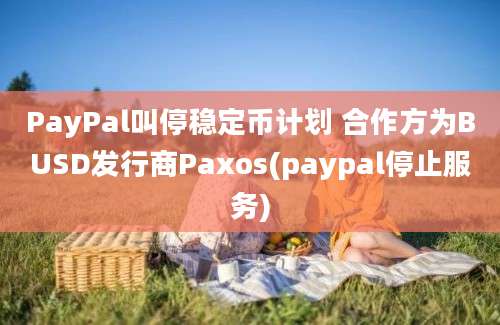 PayPal叫停稳定币计划 合作方为BUSD发行商Paxos(paypal停止服务)