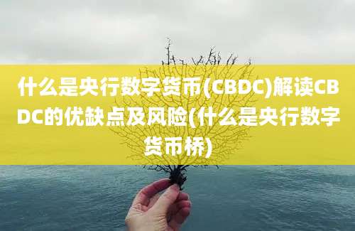 什么是央行数字货币(CBDC)解读CBDC的优缺点及风险(什么是央行数字货币桥)