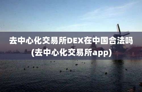 去中心化交易所DEX在中国合法吗(去中心化交易所app)