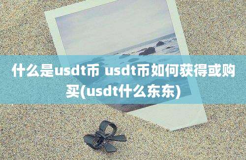 什么是usdt币 usdt币如何获得或购买(usdt什么东东)