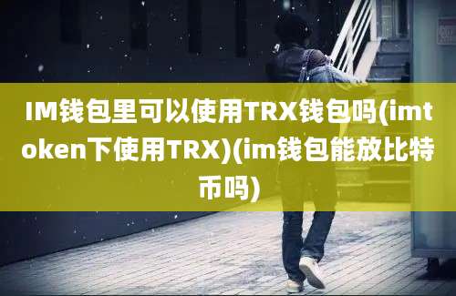 IM钱包里可以使用TRX钱包吗(imtoken下使用TRX)(im钱包能放比特币吗)