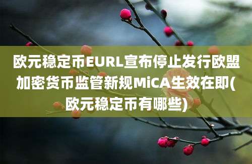 欧元稳定币EURL宣布停止发行欧盟加密货币监管新规MiCA生效在即(欧元稳定币有哪些)