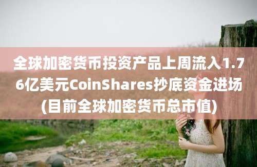 全球加密货币投资产品上周流入1.76亿美元CoinShares抄底资金进场(目前全球加密货币总市值)