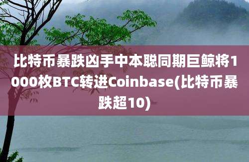 比特币暴跌凶手中本聪同期巨鲸将1000枚BTC转进Coinbase(比特币暴跌超10)