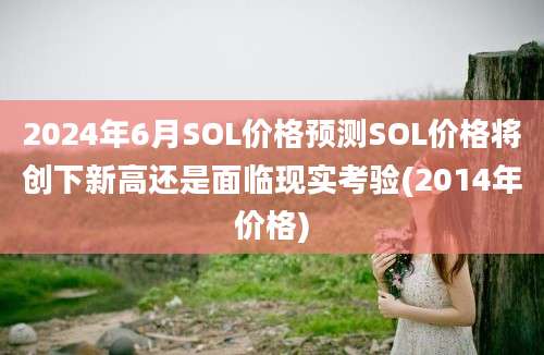 2024年6月SOL价格预测SOL价格将创下新高还是面临现实考验(2014年价格)