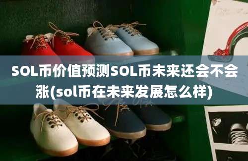 SOL币价值预测SOL币未来还会不会涨(sol币在未来发展怎么样)