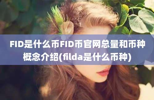 FID是什么币FID币官网总量和币种概念介绍(filda是什么币种)