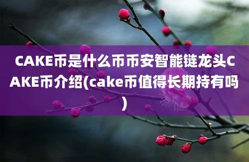 CAKE币是什么币币安智能链龙头CAKE币介绍(cake币值得长期持有吗)