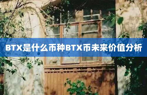 BTX是什么币种BTX币未来价值分析