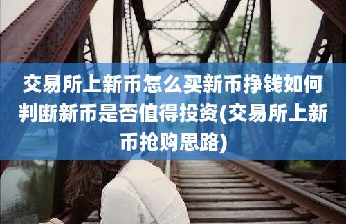 交易所上新币怎么买新币挣钱如何判断新币是否值得投资(交易所上新币抢购思路)