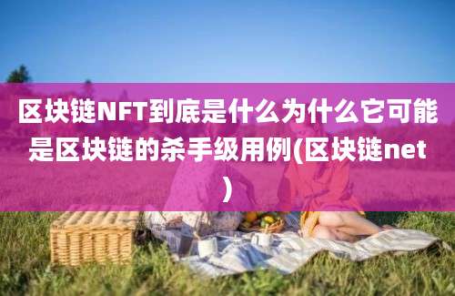 区块链NFT到底是什么为什么它可能是区块链的杀手级用例(区块链net)