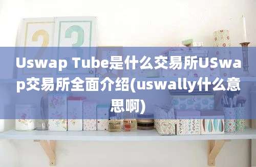 Uswap Tube是什么交易所USwap交易所全面介绍(uswally什么意思啊)