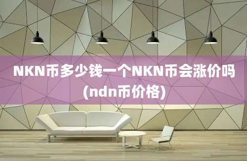 NKN币多少钱一个NKN币会涨价吗(ndn币价格)