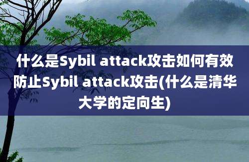 什么是Sybil attack攻击如何有效防止Sybil attack攻击(什么是清华大学的定向生)