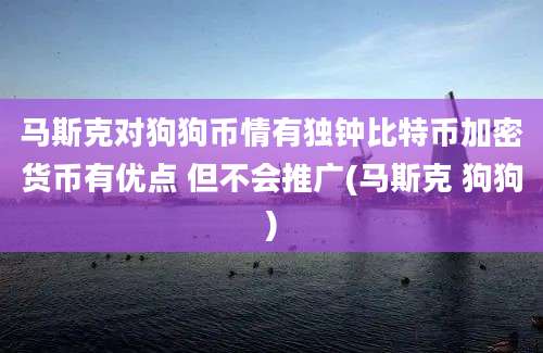 马斯克对狗狗币情有独钟比特币加密货币有优点 但不会推广(马斯克 狗狗)