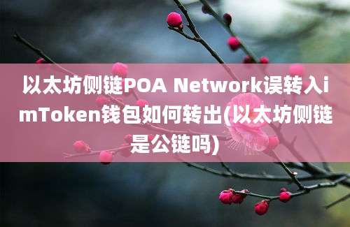 以太坊侧链POA Network误转入imToken钱包如何转出(以太坊侧链是公链吗)